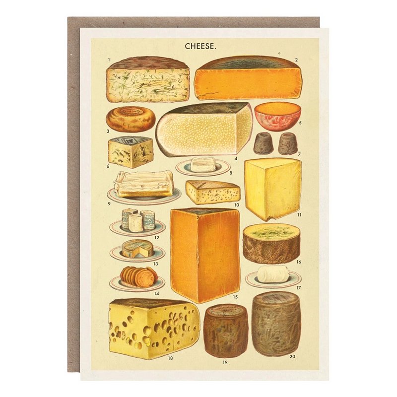 The Pattern Book Cheese Greetings Card PB2506 front