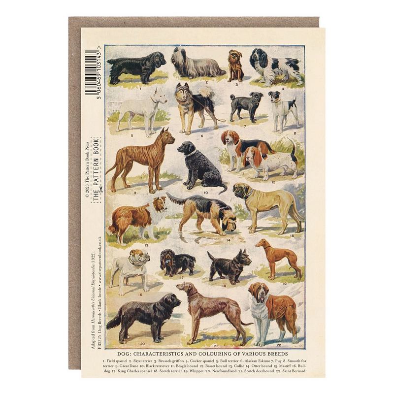 The Pattern Book Dog Breeds Greetings Card PB2325 rear