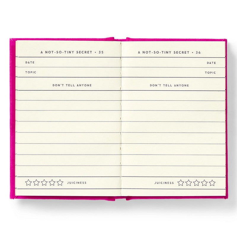 A Tiny Diary for Not So Tiny Secrets inside 2