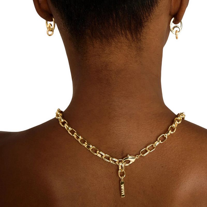 Tutti & Co Jewellery Connection Necklace Gold NE812G model