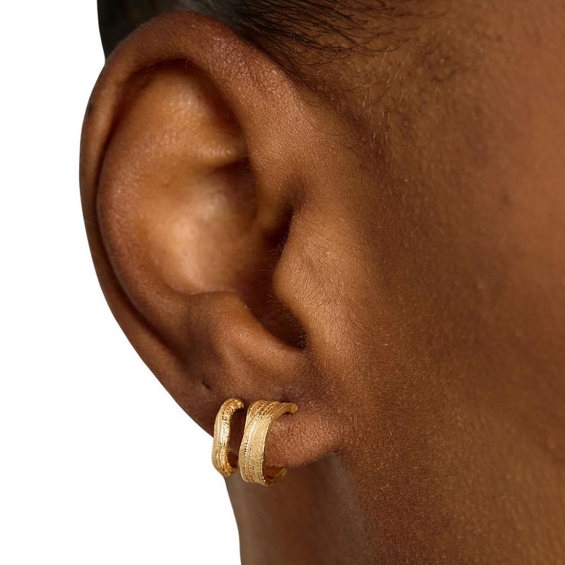 Tutti & Co Jewellery Contour Earring Set Gold EA740G model