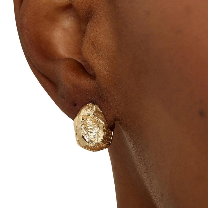 Tutti & Co Jewellery Silt Earrings Gold EA735G model