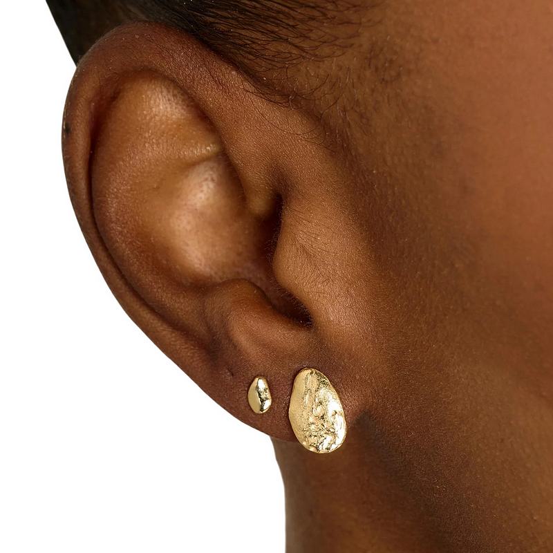 Tutti & Co Jewellery Stone Earring Set Gold EA758G model