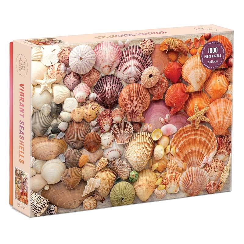 Vibrant Seashells 1000 piece jigsaw puzzle box front