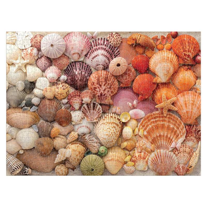 Vibrant Seashells 1000 piece jigsaw puzzle completed