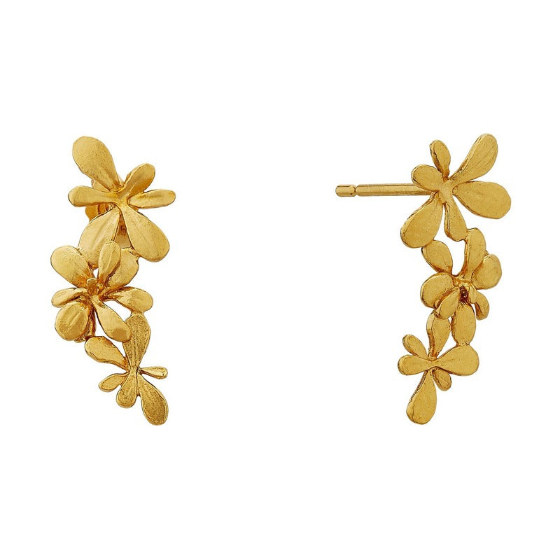 Alex Monroe Jewellery Sprouting Rosette Drop Earrings Gold Plate HBE2-GP front & side