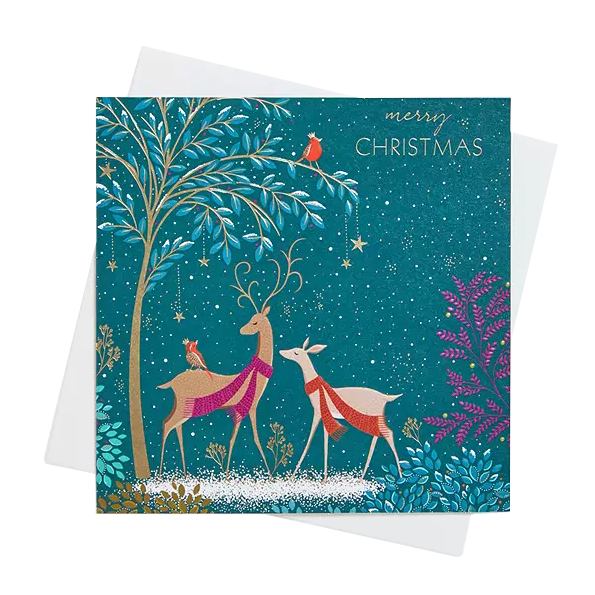Art File Box of 8 Luxury Christmas Cards Two Deer & Robin LBX97 with envelope