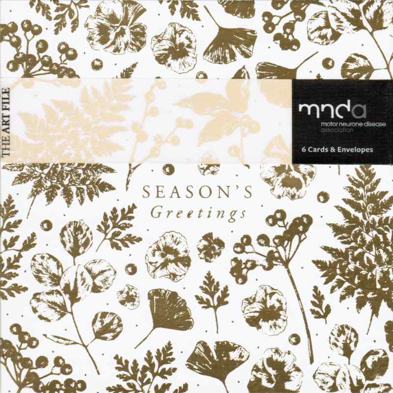 Art File Charity Christmas Cards 6 Pack Gold Floral XP397 pack front