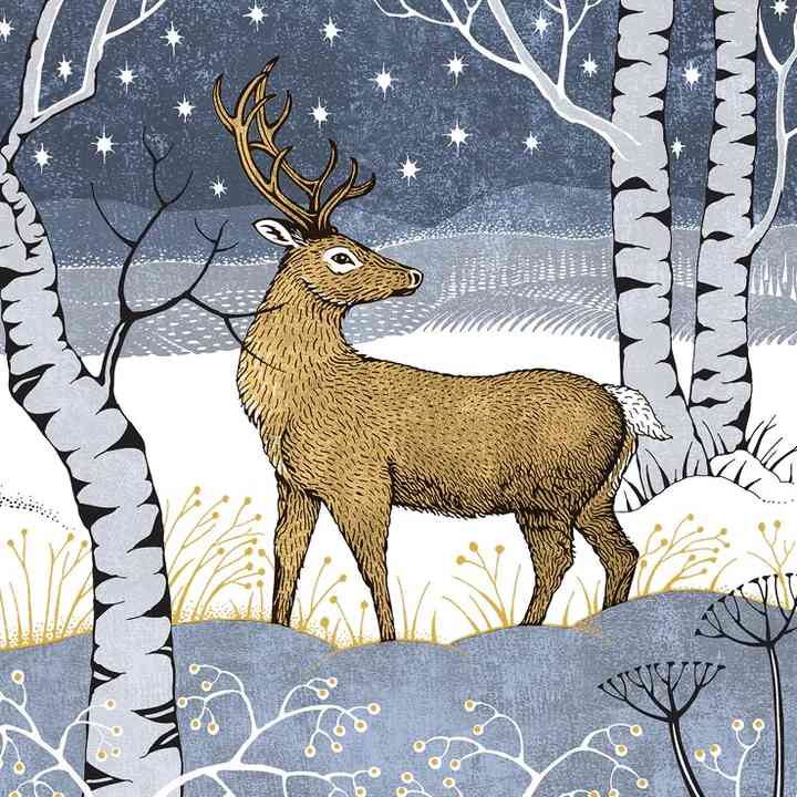 Charity Christmas Cards 6 Pack Stags & Stars