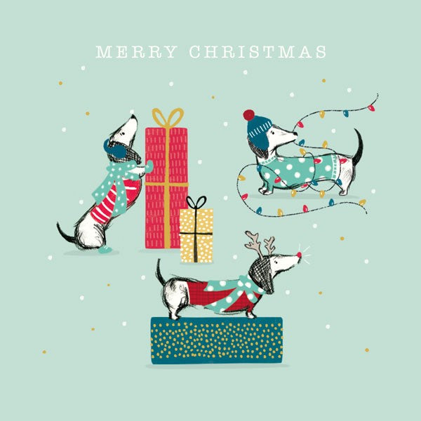 Art File Charity Christmas Frank Sausage Dog & Presents 6 pack XP364 front