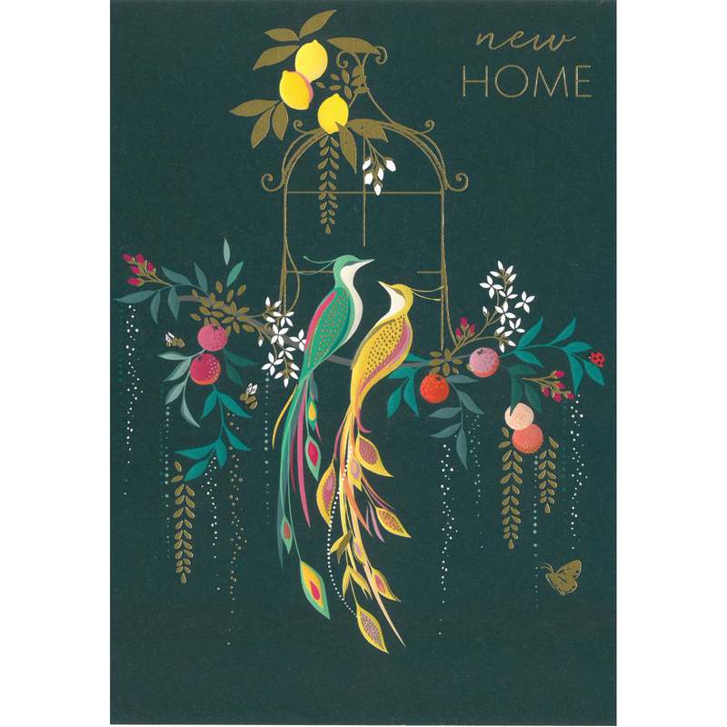 New Home 2 Birds