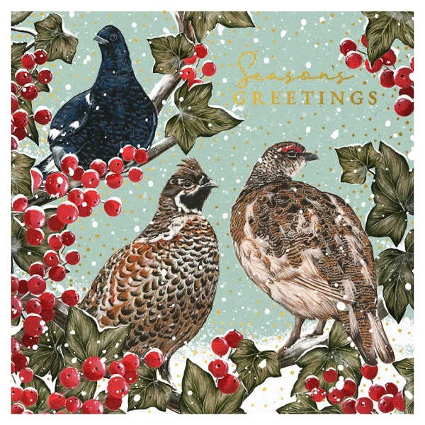 Art File Painterly Grouse Luxury Christmas Card Box of 8 LBX91 main