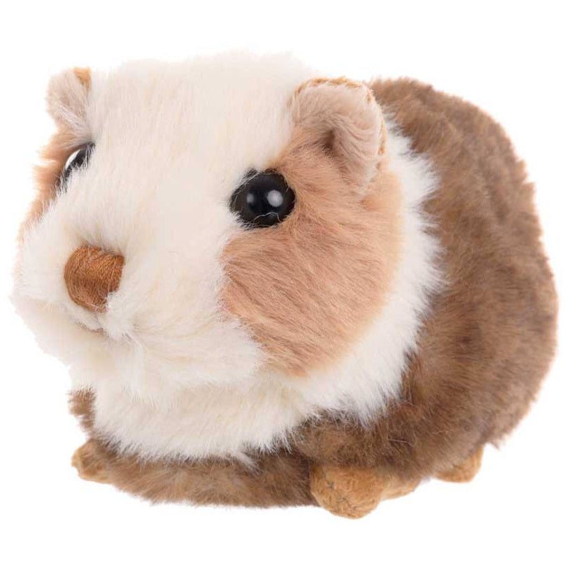 Guinea Pig Soft Toys