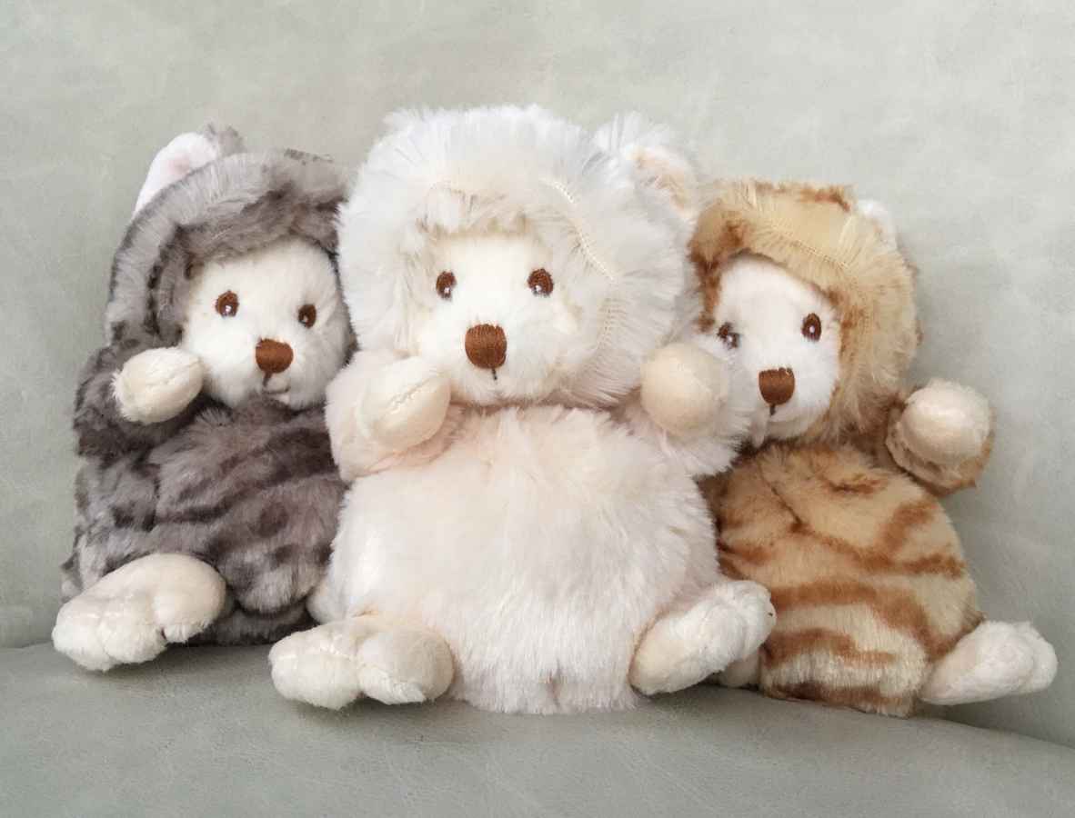 Bukowski Soft Toys Ziggy Teddy Bear Cats selection