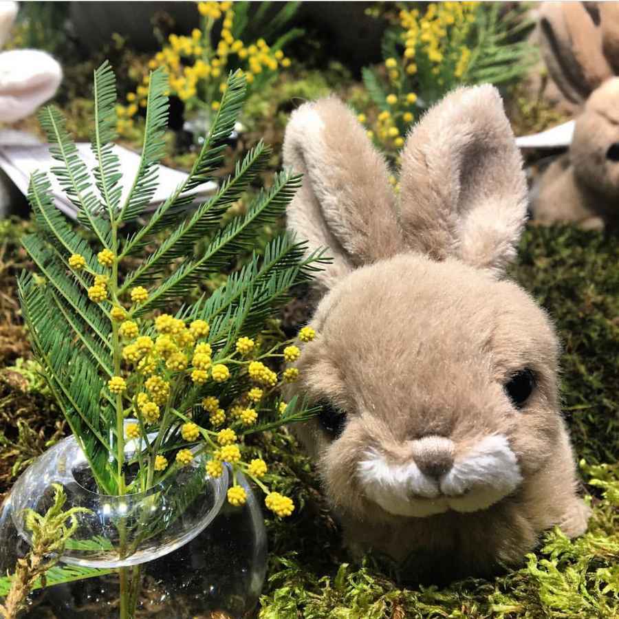 Bukowski Teddy Bears Baby Hera Bunny Rabbit Soft Toy