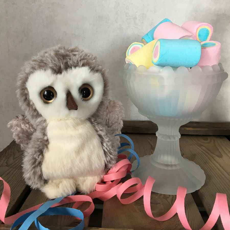 Bukowski Teddy Bears Hoho Owl Soft Toy