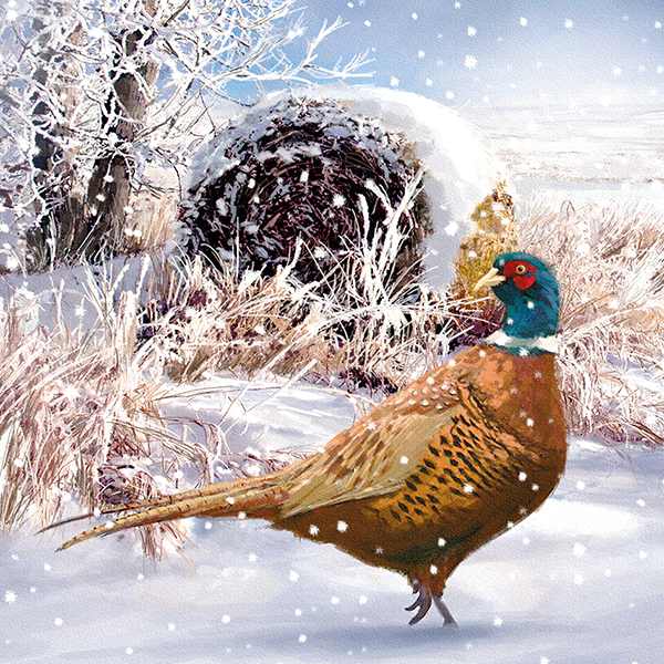 Christmas Cards 6 Pack - Pheasant In Snow XP339