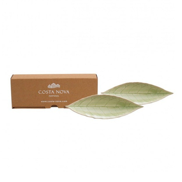 Costa Nova Gift Riviera Vert Frais 2 Laurel Leafs 3102712