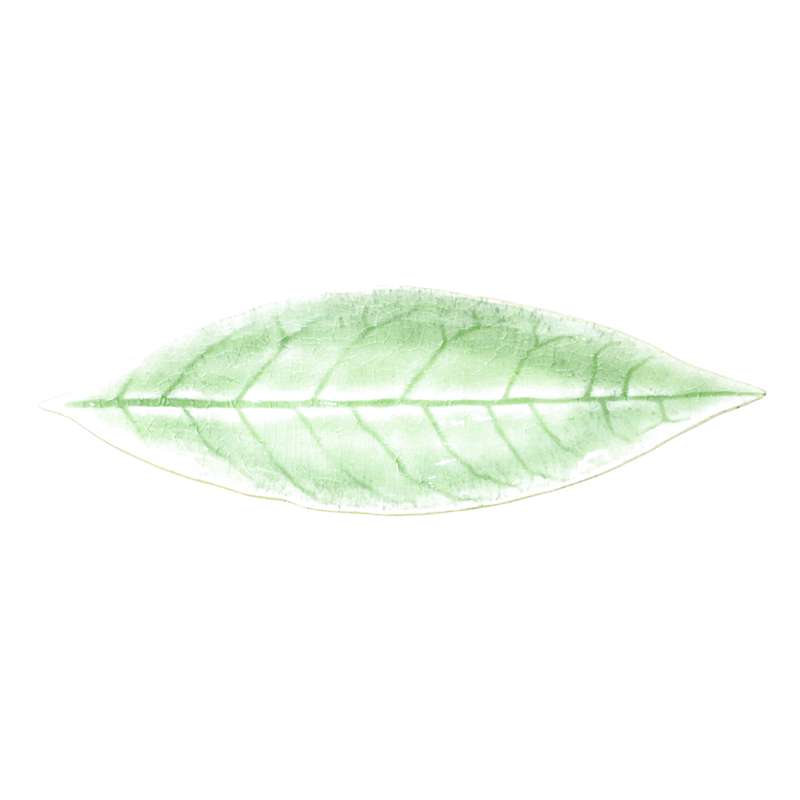 Costa Nova Laurel Leaf Plate