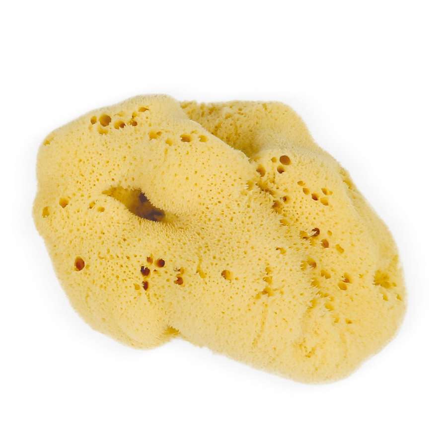 Eco Bath London Natural Sea Sponges