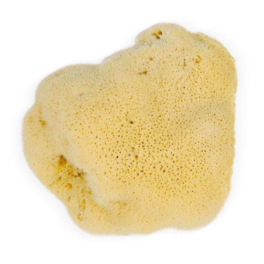 Eco Bath London Natural Sea Sponges