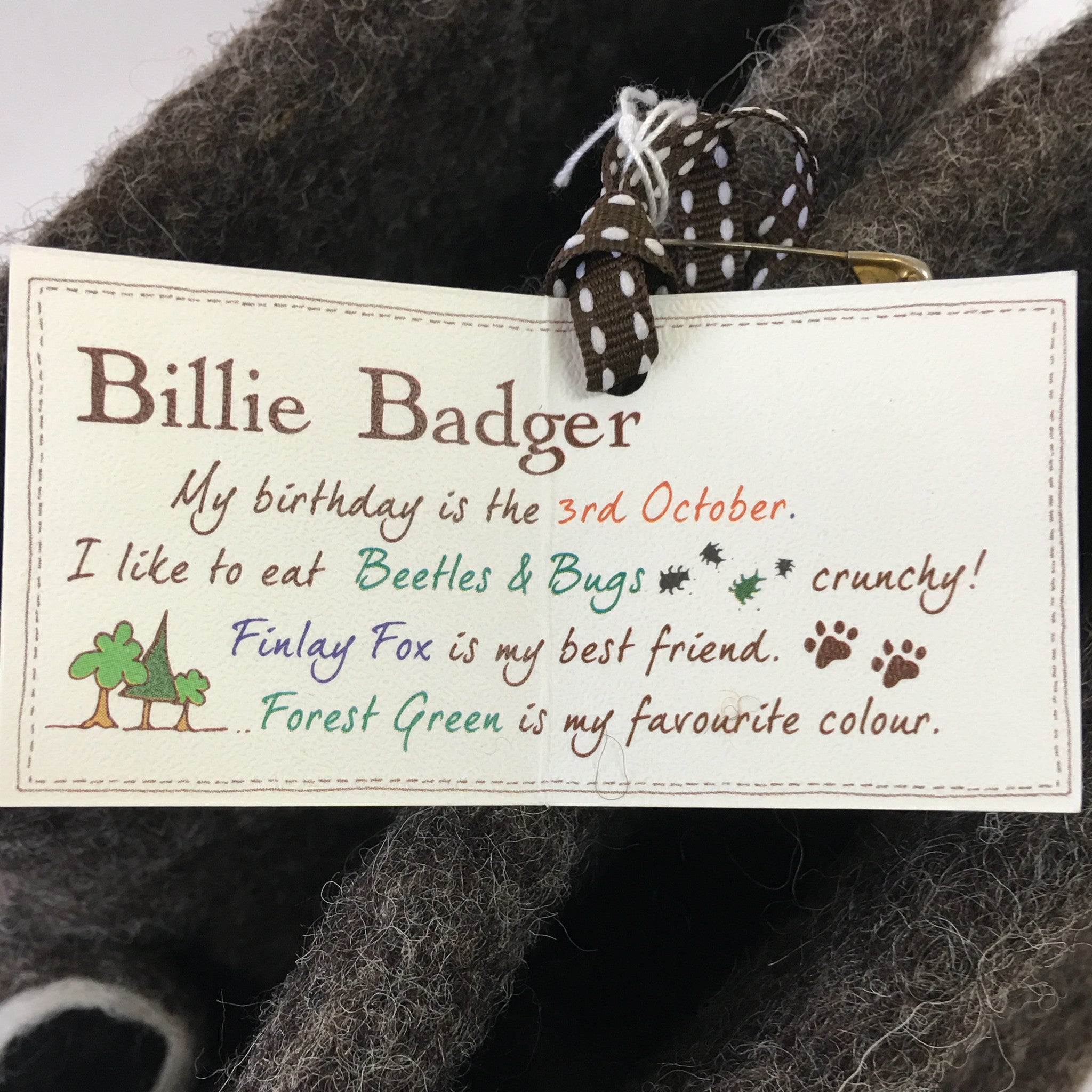 Felt Slippers for Adults Badger label