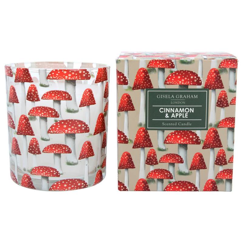 Gisela Graham Cinnamon & Apple Boxed Candle Large 51305 with box