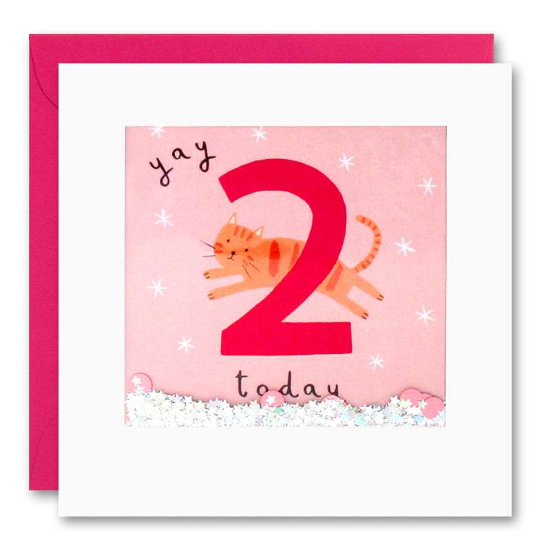 Happy 2nd Birthday Girl Shakies Card PT2785