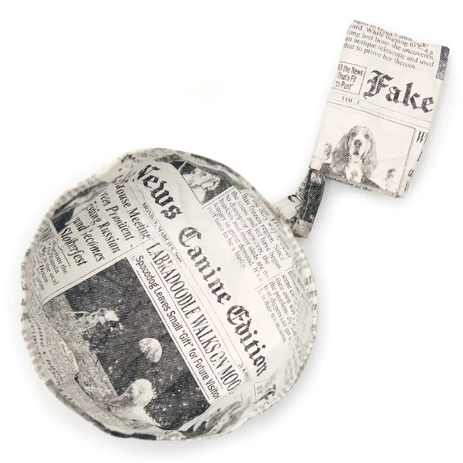 Kikkerland Doggy Fake News Water Bowl DIG30 main