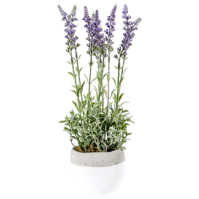 Lavender Lilac with White Pot Large 400841 front