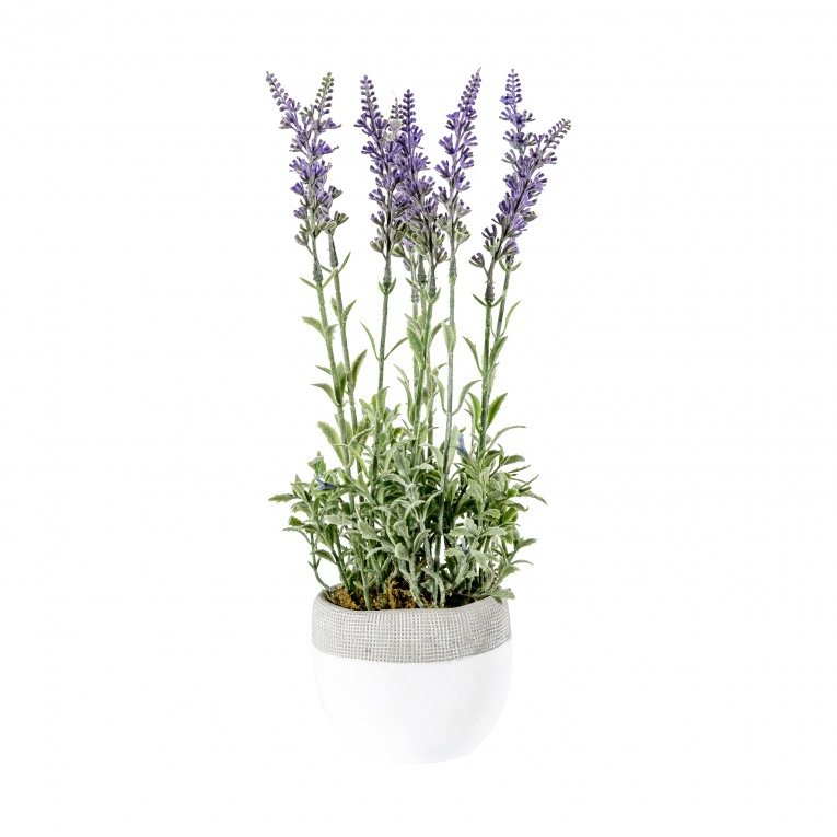 Lavender Lilac with White Pot Small 400834 front
