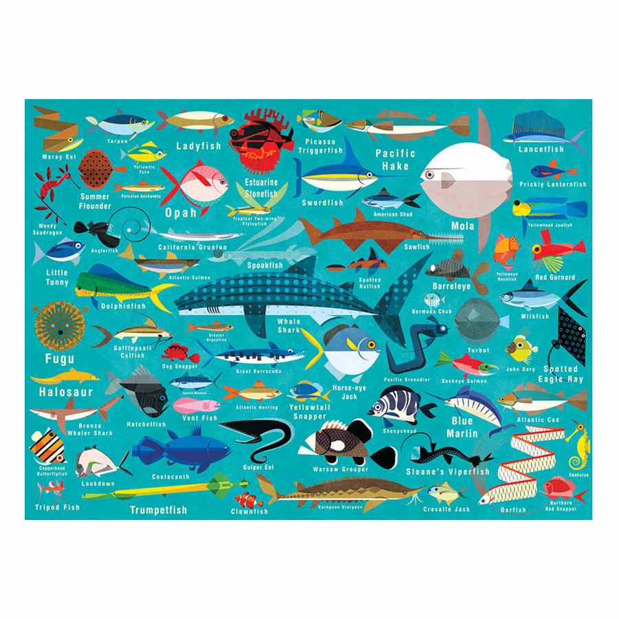 Ocean Life 1000 Piece Jigsaw Puzzle