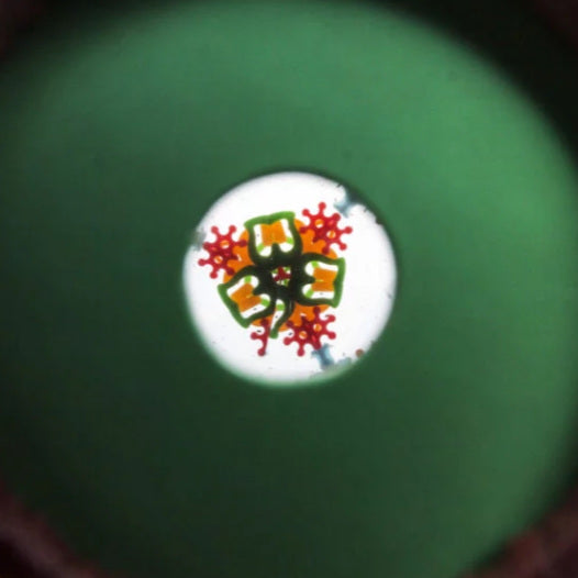 Peacock Kaleidoscope view