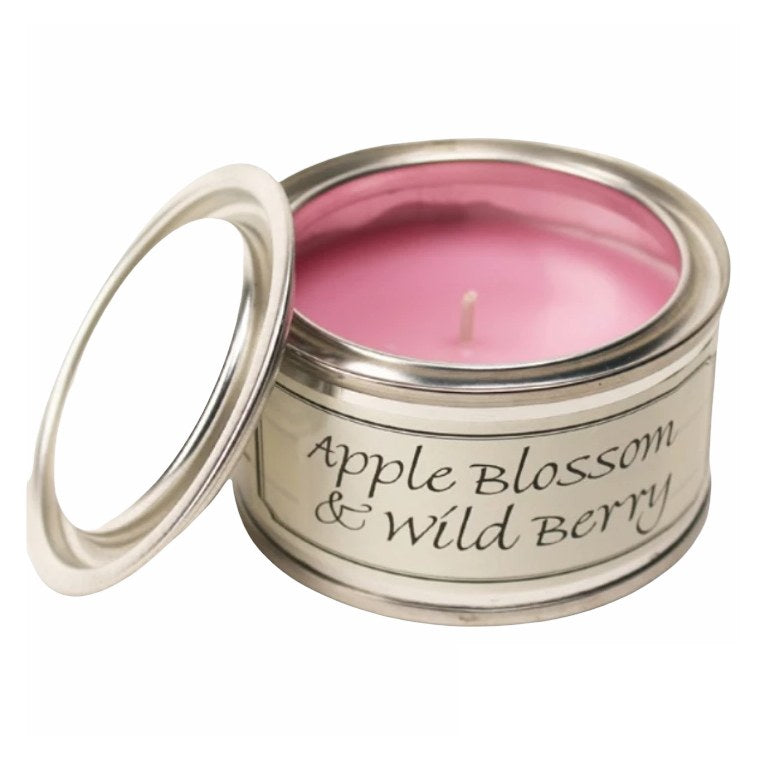 Pintail Candles Apple Blossom & Wild Berry Paint Pot Candle