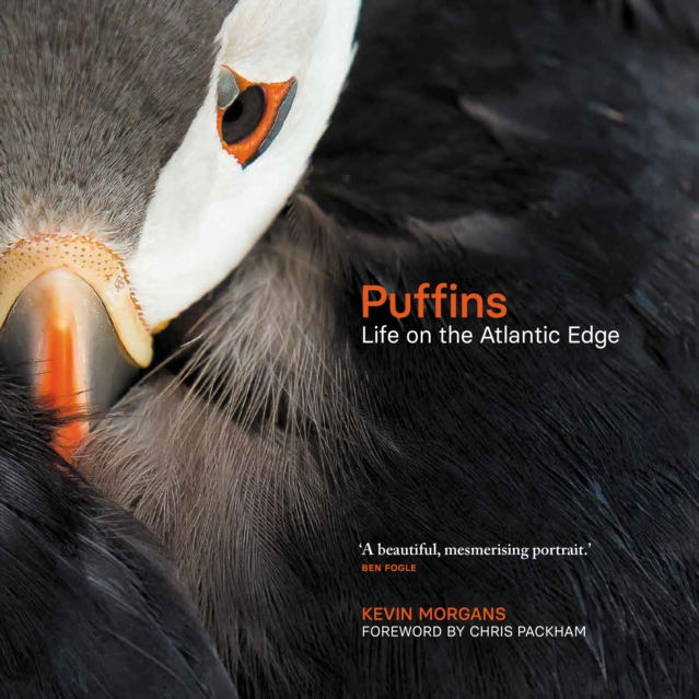 Puffins: Life On The Atlantic Edge Hardback Book front cover