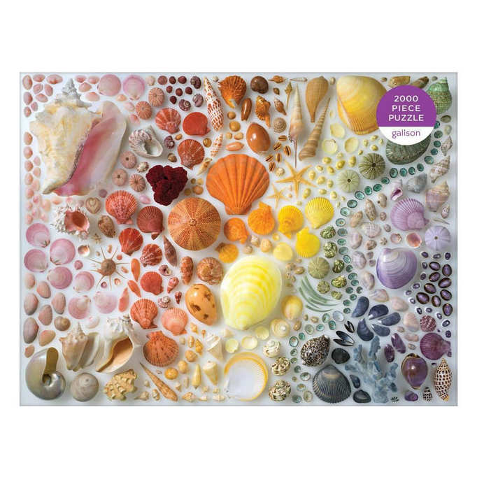 Rainbow Seashells 2000 Piece Jigsaw Puzzle box front