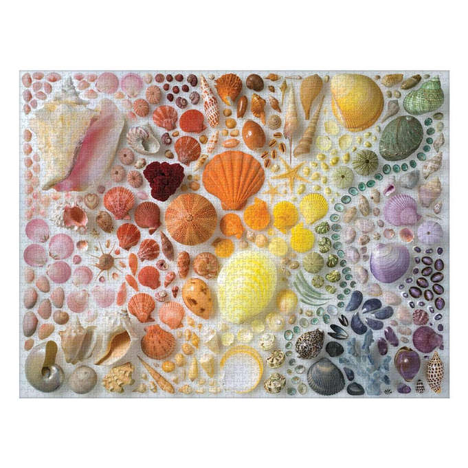 Rainbow Seashells 2000 Piece Jigsaw Puzzle completed
