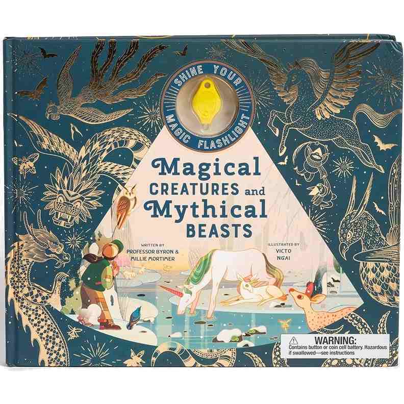 Shine Your Magic Torch - Magical Creatures and Mythical Beasts front