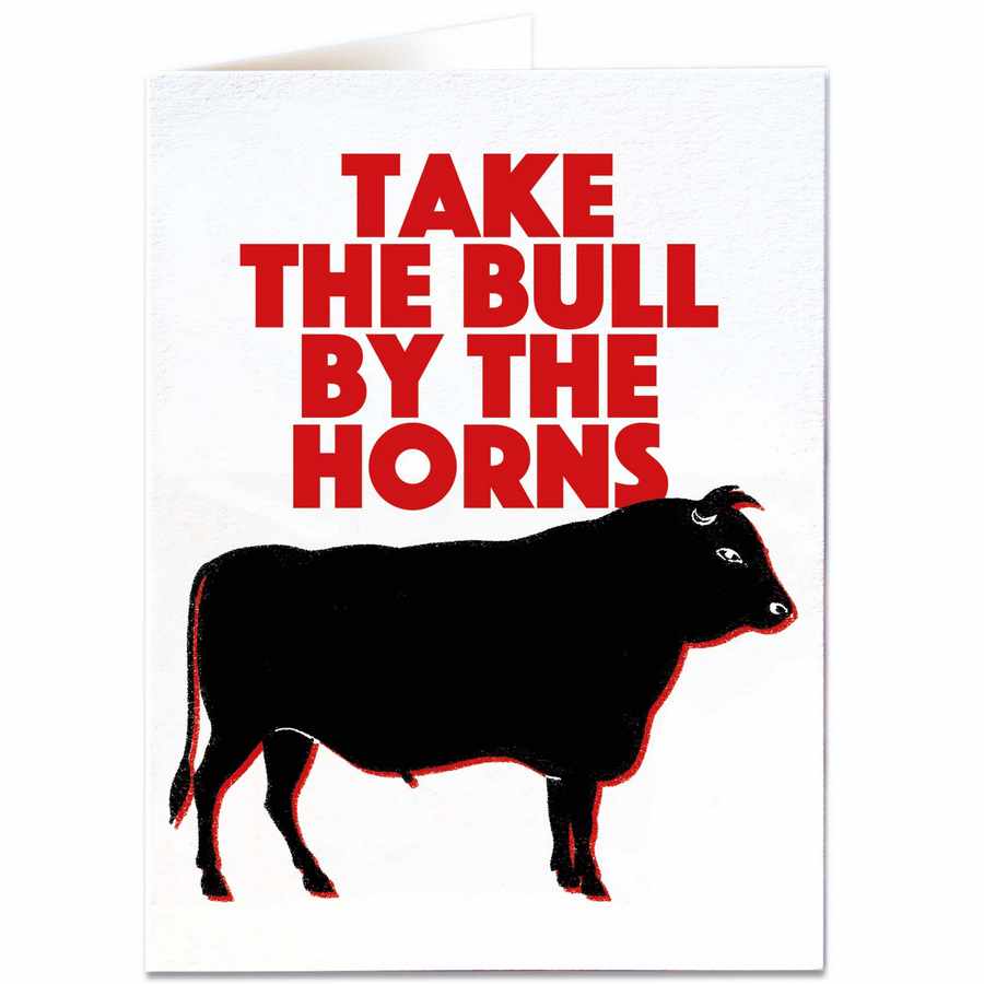 Take The Bull By The Horns Card QP457