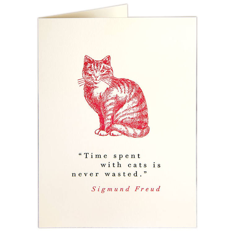 Time Spent With Cats Is Never Wasted QP284