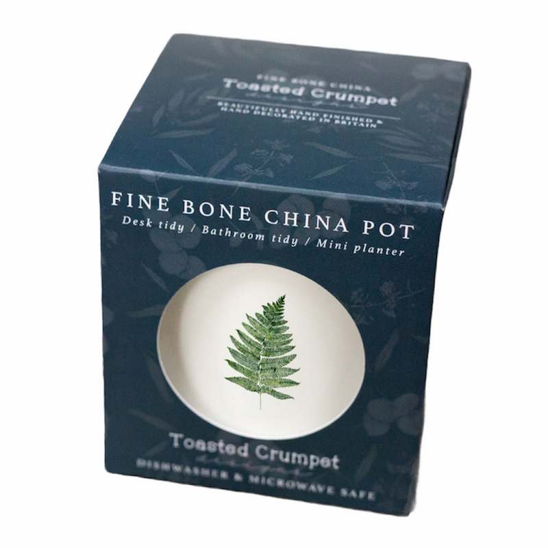 Toasted Crumpet Fine Bone China Pot Fern FBT15 in box