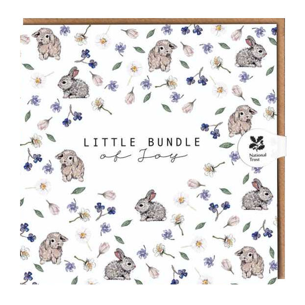 Toasted Crumpet Greetings Card Little Bundle of Joy Bunnies NT43 with envelope