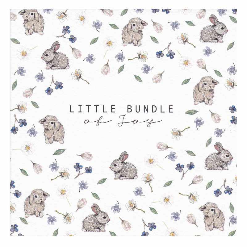 Toasted Crumpet Greetings Card Little Bundle of Joy Bunnies NT43 main