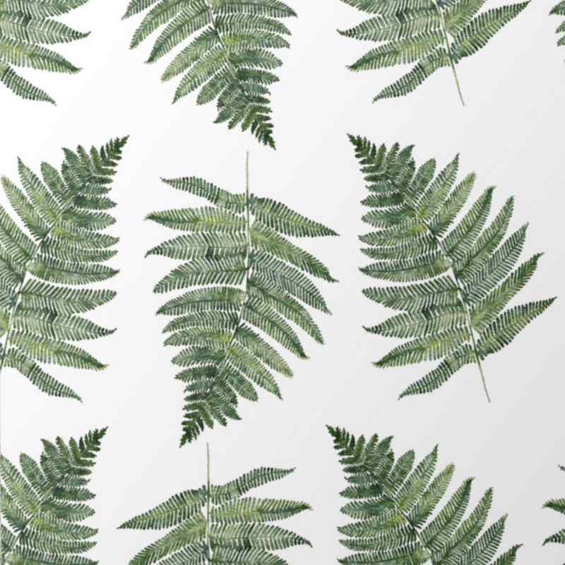 Toasted Crumpet Luxury Gift Wrap Fern GW23 detail