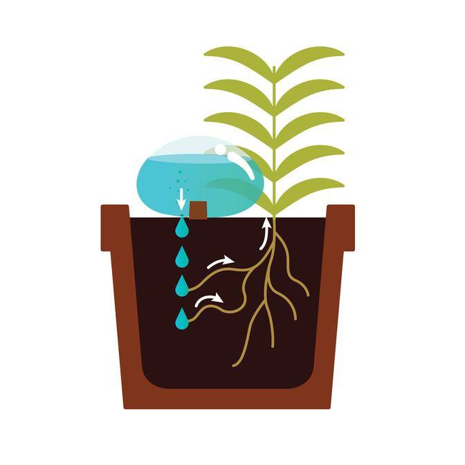 Water From A Stone diagram