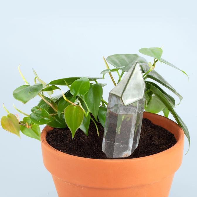Water From A Crystal in plant pot