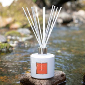 Reed Diffusers stockist UK The Old School Beauly