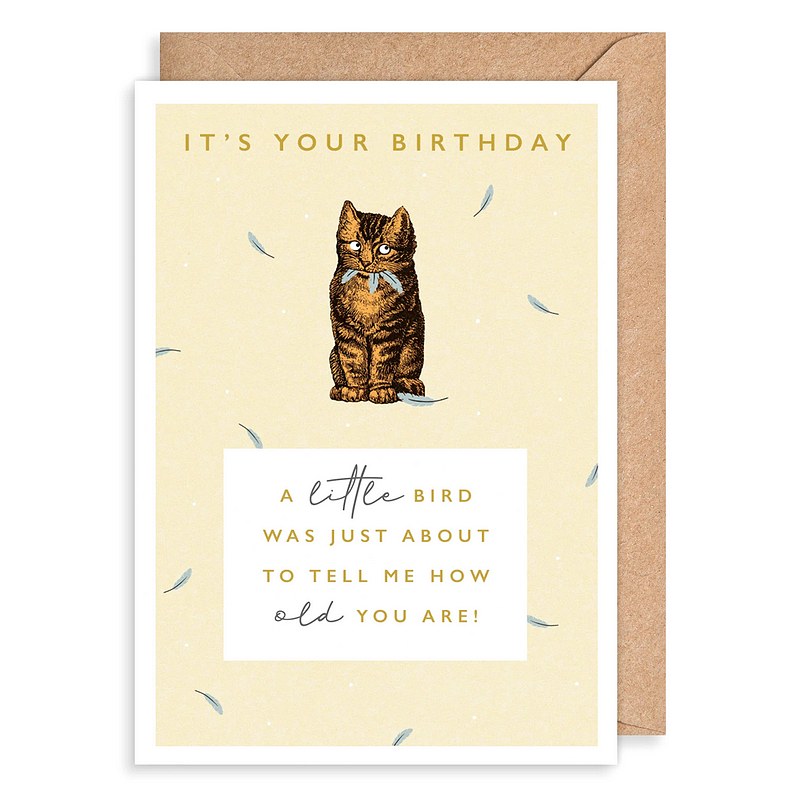 A Little Bird Was Just About To Birthday Card NR05 front