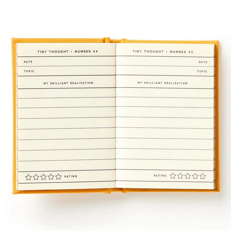 A Tiny Diary for Tiny Thoughts inside 2