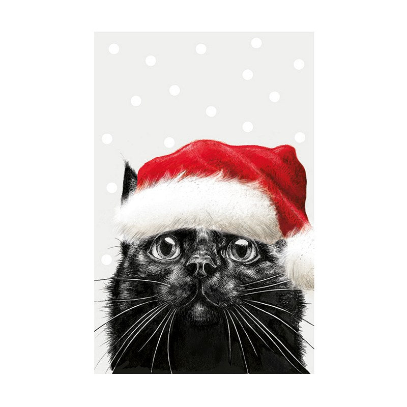 Art File Black Cat Festive Hat Christmas Card ISX03 front